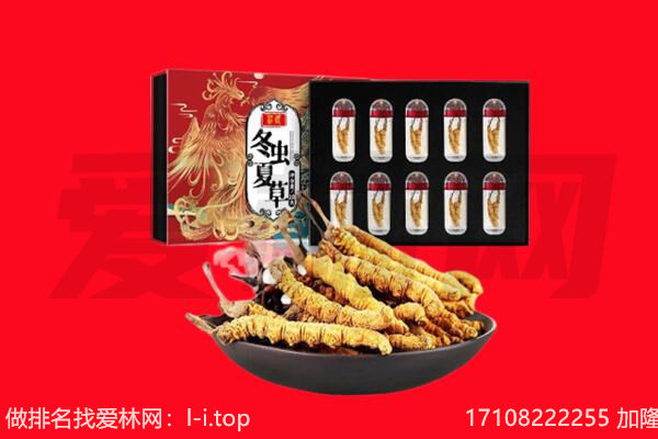 榆林市绥德回收虫草.jpg